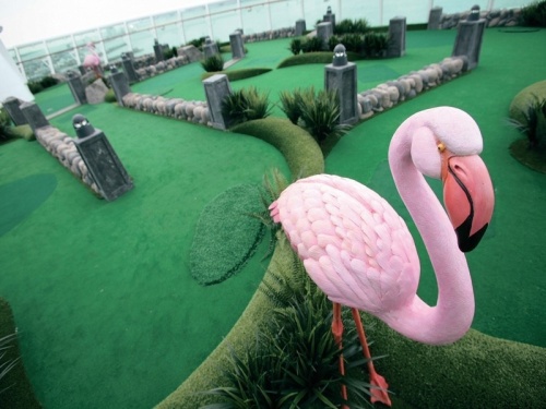 Спорт и активный отдых