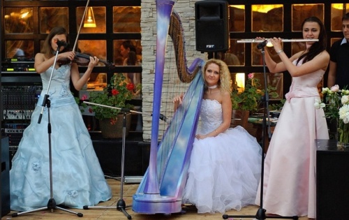 Музыкальные и развлекательные программы