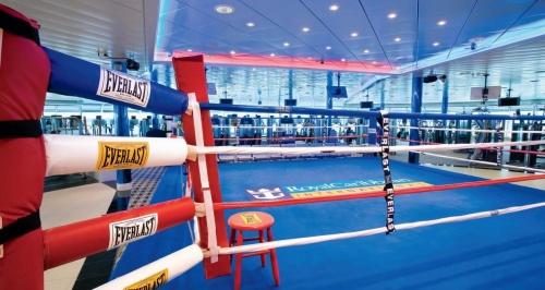 Боксерский ринг